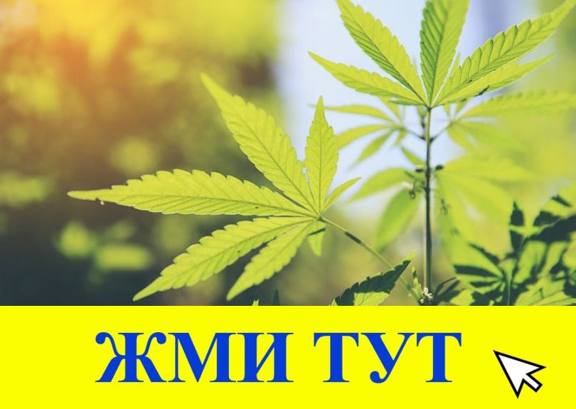 Купить наркотики в Трубчевске